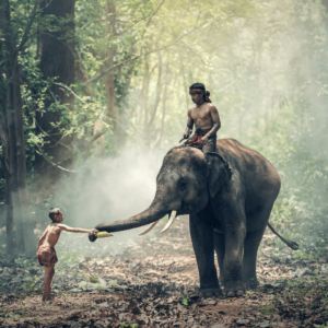 Cambodia e-visa apply now