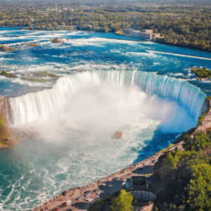 CANADA NIGRA