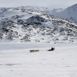 GLACIER IN GREENLAND FIELD