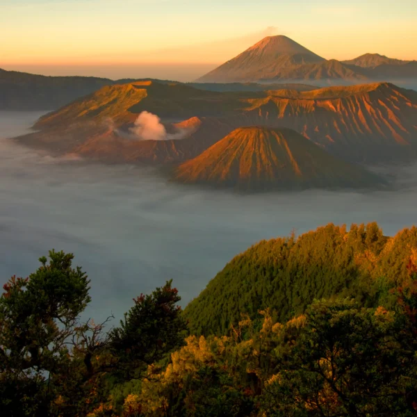 Indonesia e-visa apply