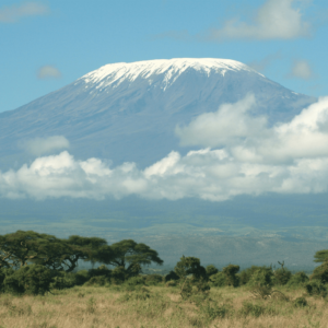 Tanzania e-visa, visa application for Tanzania