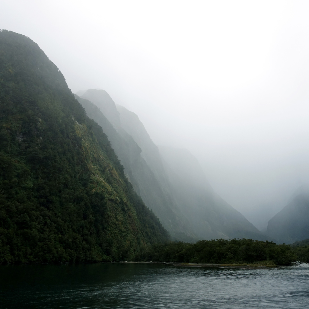 New Zealand e-visa, travel visa, apply for your visa now